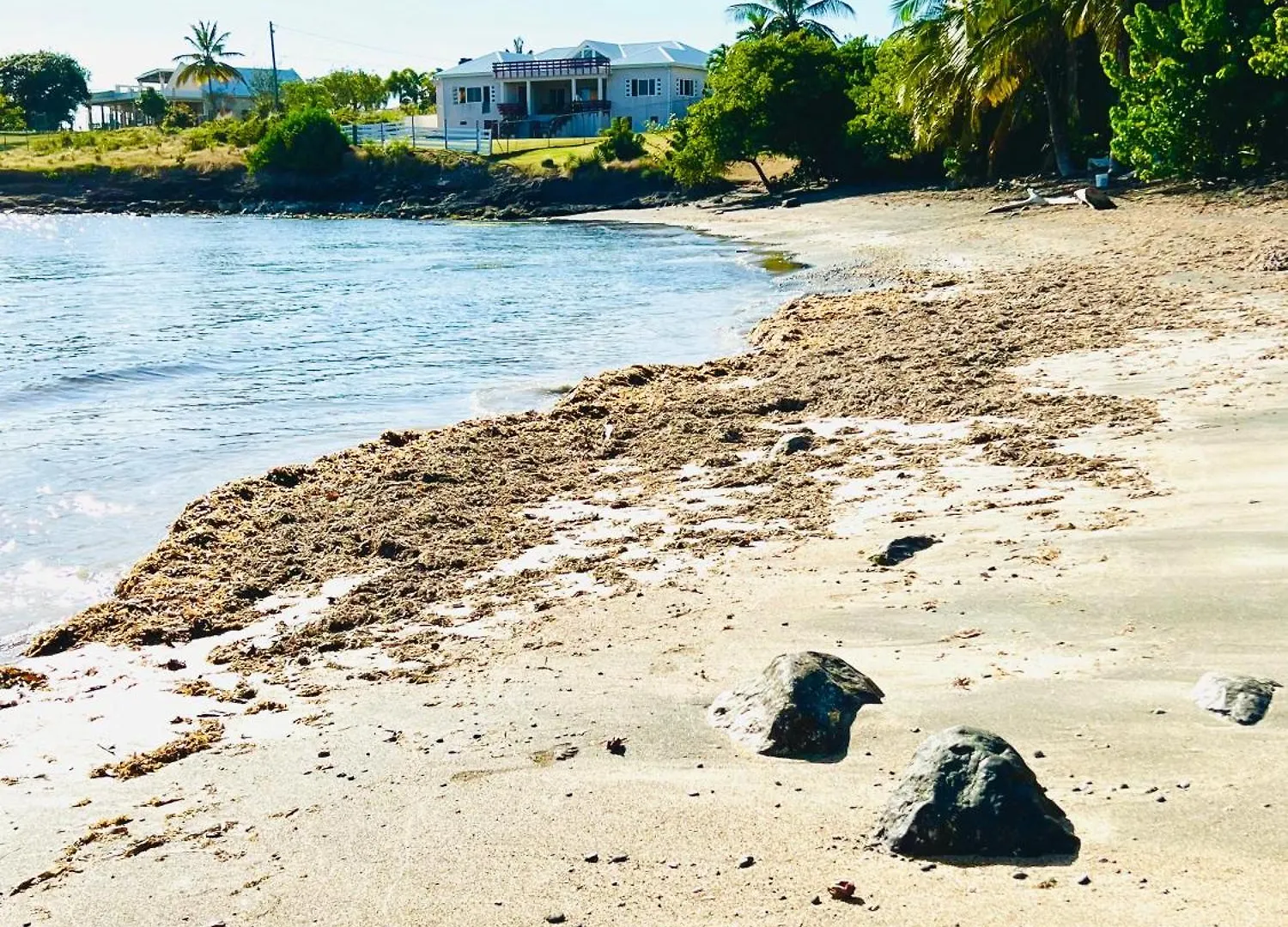 Sealavie Apartments - Grenada St. George's 0*,
